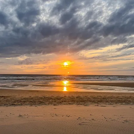 De Strandgaper Egmond