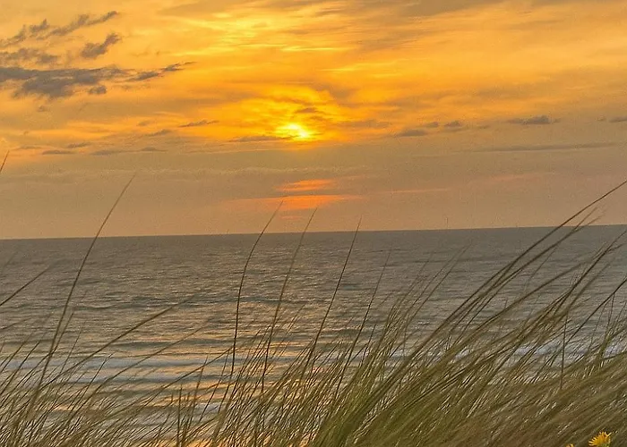 Bed & Breakfast De Strandgaper Egmond Egmond aan den Hoef