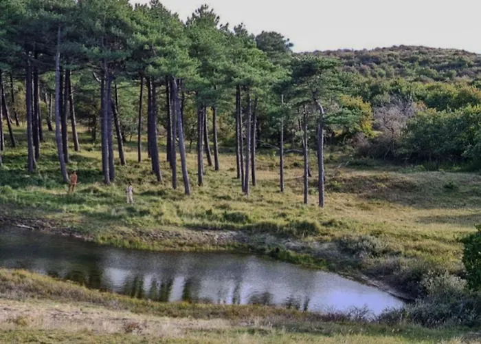 De Strandgaper Egmond Bed & Breakfast