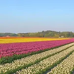 Bed and breakfast De Strandgaper Egmond 3*